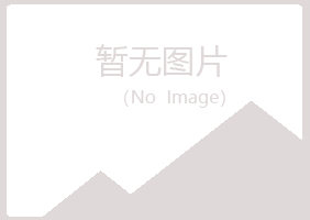 罗定盼夏化学有限公司